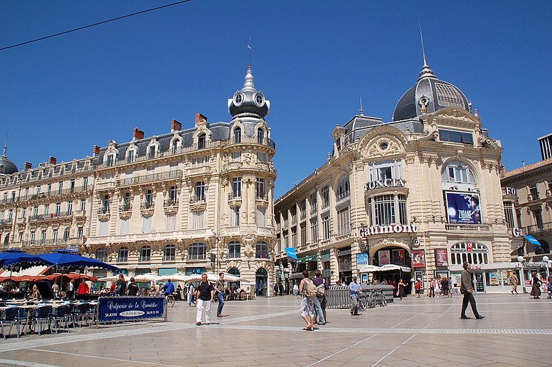 Transfert de Montpellier à Paris